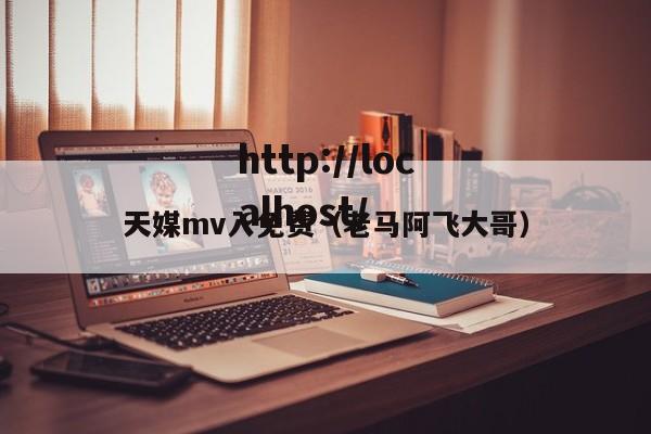 天媒mv入免费（老马阿飞大哥）